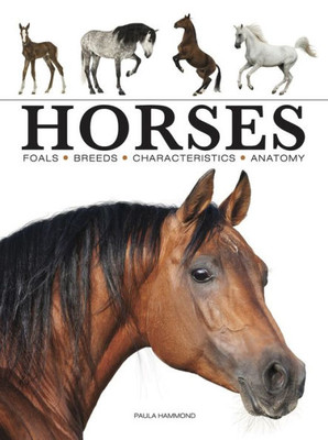 Horses (Mini Encyclopedia)