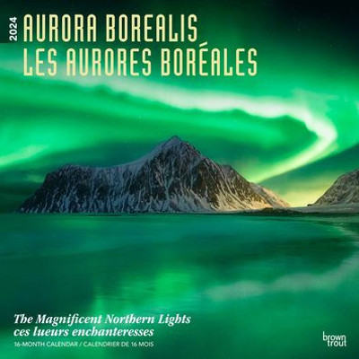 Aurora Borealis | Les Aurores Boréales | 2024 12 X 24 Inch Monthly Square Wall Calendar | Foil Stamped Cover | English/French Bilingual | Browntrout | Usa Alaska Northern Lights