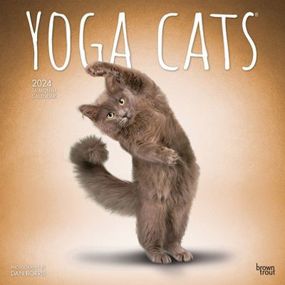 Yoga Cats Official | 2024 12 X 24 Inch Monthly Square Wall Calendar | Browntrout | Animals Humor Pets