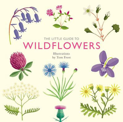 The Little Guide To Wildflowers (Little Guides)