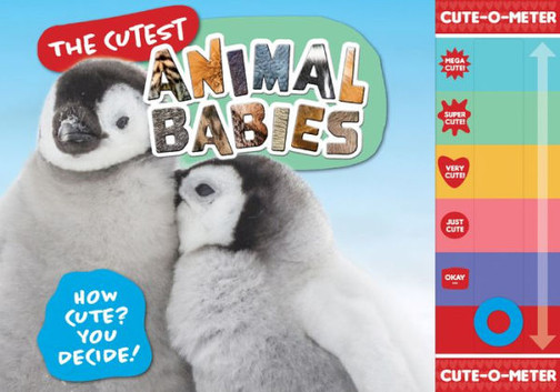 The Cutest Animal Babies: How Cute? You Decide!