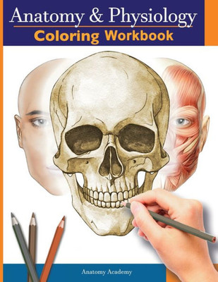 Anatomy And Physiology Coloring Workbook: The Essential College Level Study Guide Perfect Gift For Medical School Students, Nurses And Anyone Interested In Our Human Body