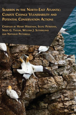 Seabirds In The North-East Atlantic