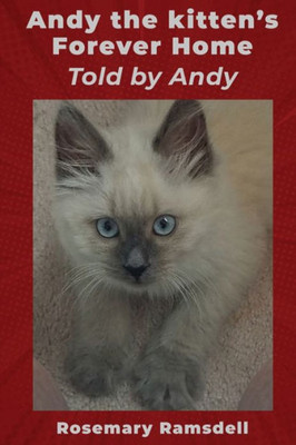 Andy The Kitten's Forever Home Told By Andy