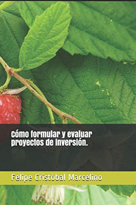 Cómo formular y evaluar proyectos de inversión. (Spanish Edition)