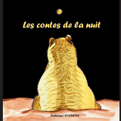 Les contes de la nuit (French Edition)