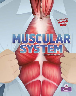 Muscular System (Look into the Human Body)