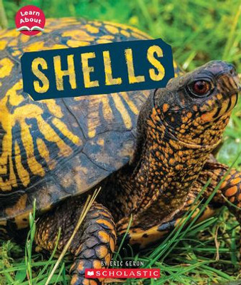 Shells (Learn About: Animal Coverings)
