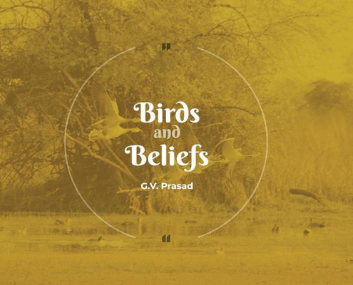 Birds and Beliefs