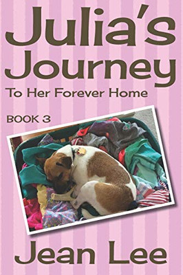 Julia's Journey To Her Forever Home: Book 3 in the Lexi's Triplets Series