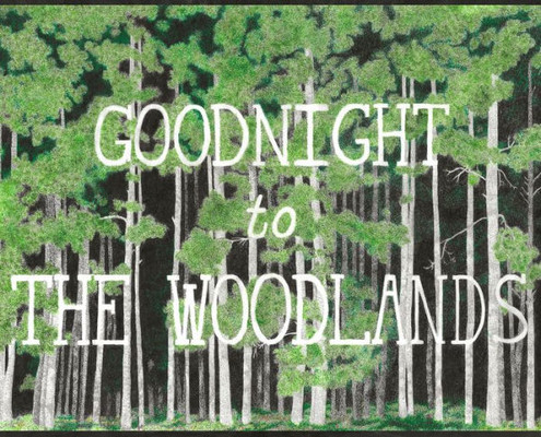 Goodnight to The Woodlands