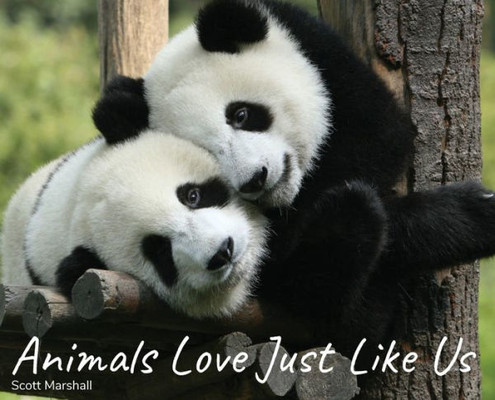 Animals Love Just Like Us