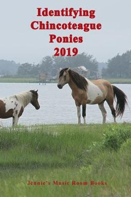Identifying Chincoteague Ponies 2019