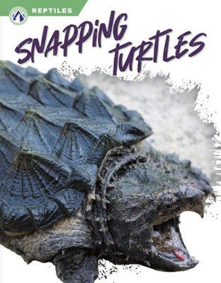 Snapping Turtles (Reptiles)