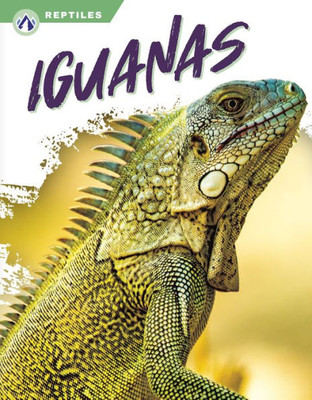 Iguanas (Reptiles)
