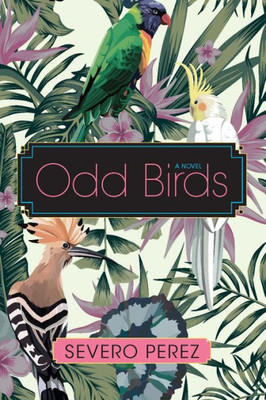 Odd Birds