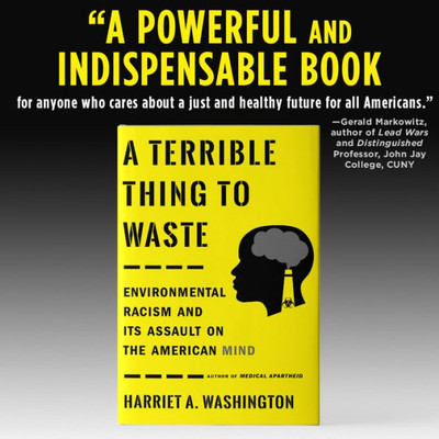 A Terrible Thing to Waste: Environmental Racism and Its Assault on the American Mind