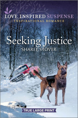 Seeking Justice (Love Inspired Suspense)