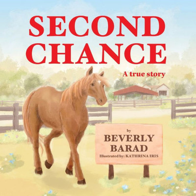 Second Chance