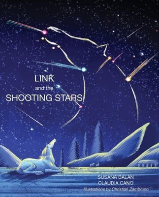 Link And The Shooting Stars