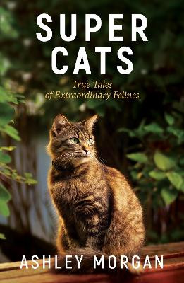 Super Cats: True Tales Of Extraodinary Felines