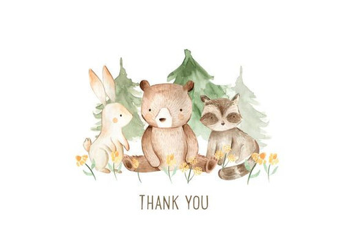Baby Thank You Note Cards (14 Cards, 15 Self-Sealing Envelopes)