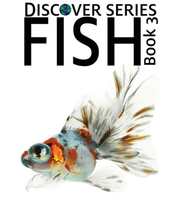Fish 3 (Discover)