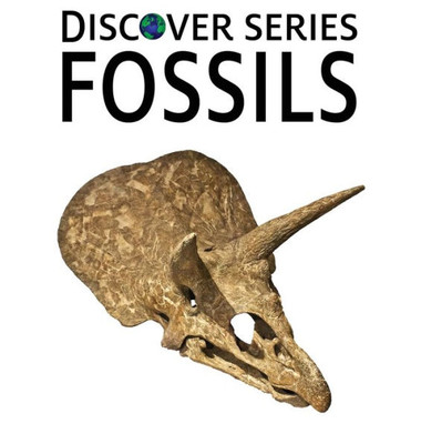Fossils (Discover)