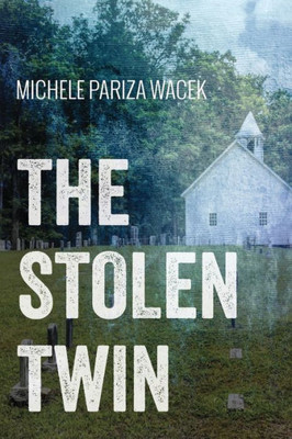 The Stolen Twin (The Riverview Mysteries)