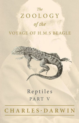 Reptiles - Part V - The Zoology Of The Voyage Of H.M.S Beagle ; Under The Command Of Captain Fitzroy - During The Years 1832 To 1836 (5)