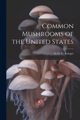 Common Mushrooms Of The United States