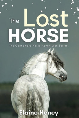 The Lost Horse - Book 6 In The Connemara Horse Adventure Series For Kids | The Perfect Gift For Children Age 8-12 (Connemara Adventures)