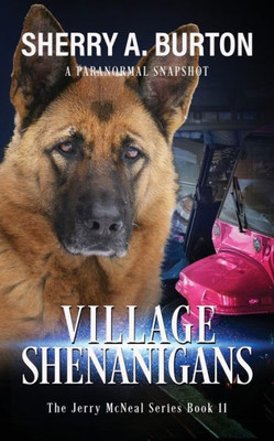 Village Shenanigans: Book 11 In The Jerry Mcneal Series (A Paranormal Snapshot)