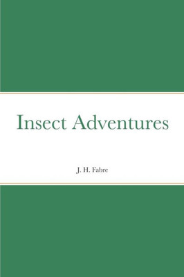 Insect Adventures