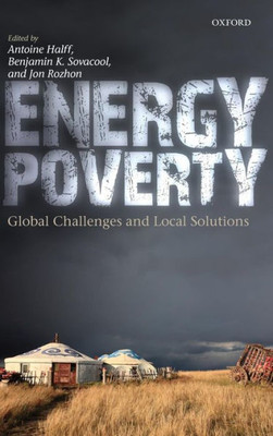 Energy Poverty: Global Challenges And Local Solutions