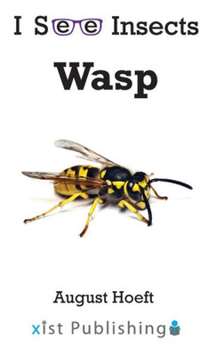 Wasp (I See Insects)