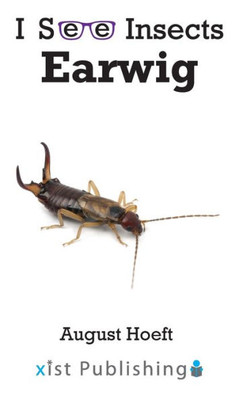 Earwig (I See Insects)