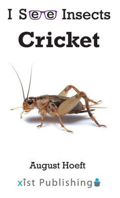 Cricket (I See Insects)