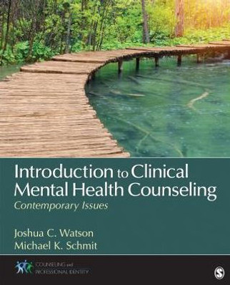 Introduction To Clinical Mental Health Counseling: Contemporary Issues (Counseling And Professional Identity)