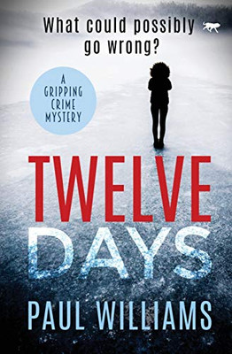Twelve Days: a gripping crime mystery