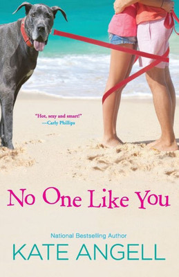 No One Like You (Barefoot William Beach)