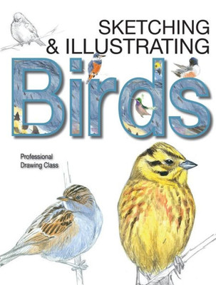 Sketching & Illustrating Birds: Professional Drawing Class