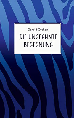 Die ungeahnte Begegnung: und andere Geschichten (German Edition)