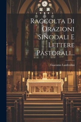 Raccolta Di Orazioni Sinodali E Lettere Pastorali... (Italian Edition)