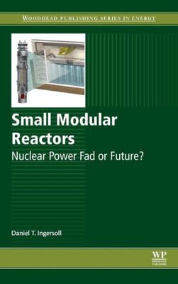 Small Modular Reactors: Nuclear Power Fad Or Future?