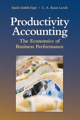 Productivity Accounting: The Economics Of Business Performance (Paperback Or Softback)