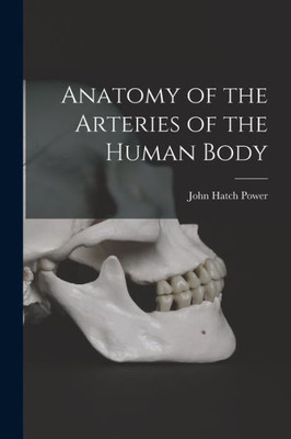 Anatomy Of The Arteries Of The Human Body