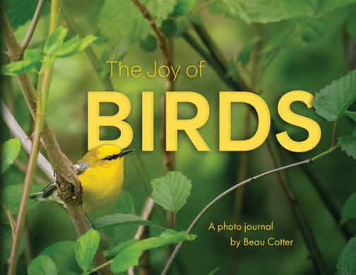 The Joy Of Birds
