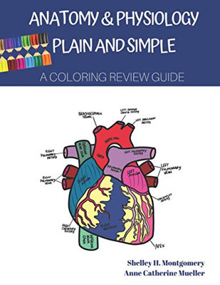 Anatomy & Physiology Plain and Simple: A Coloring Review Guide