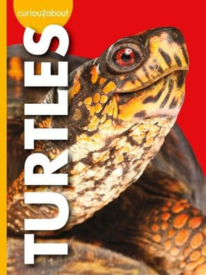 Curious About Turtles (Curious About Pets)